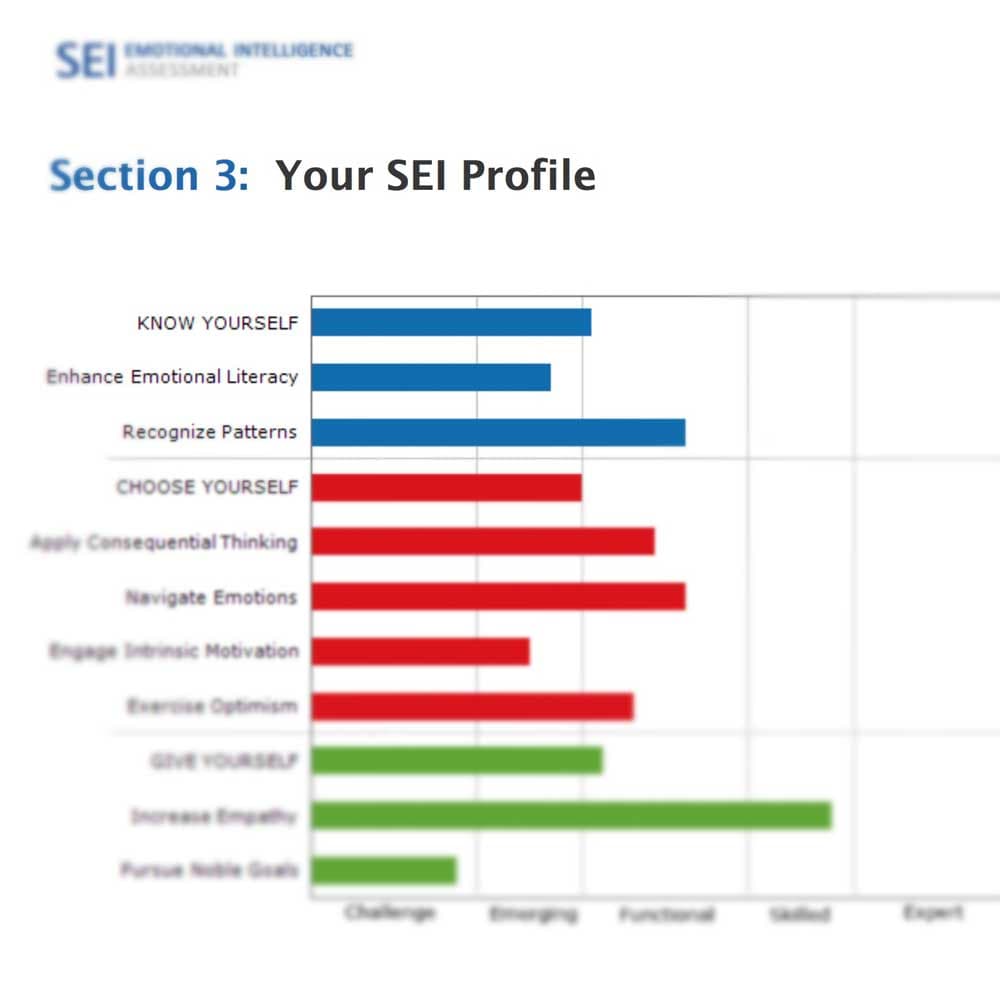 SEI Leadership Assessment + Debrief